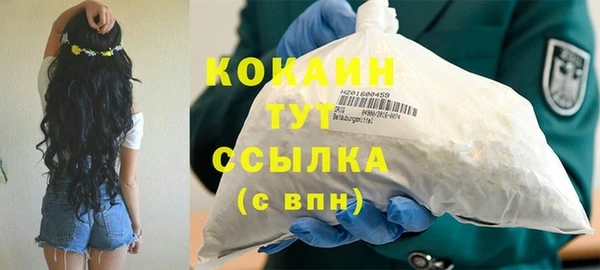 индика Баксан