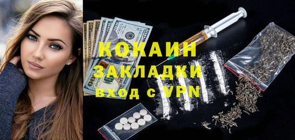 индика Баксан