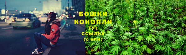 ГАЛЛЮЦИНОГЕННЫЕ ГРИБЫ Семёнов