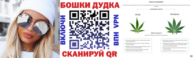 kraken как зайти  Беломорск  Конопля Amnesia 